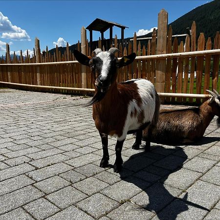 Apartmán Pichlerhof Planca di Sopra Exteriér fotografie