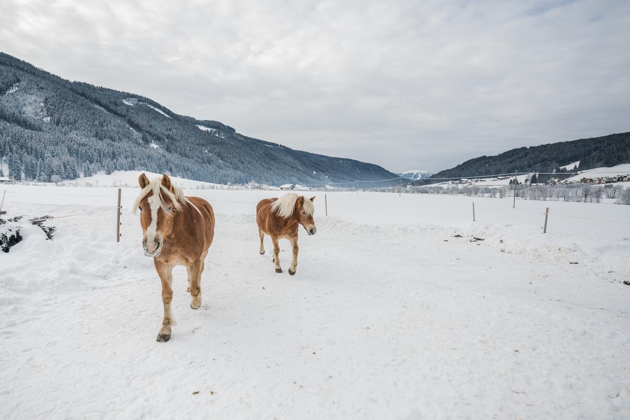 Apartmán Pichlerhof Planca di Sopra Exteriér fotografie