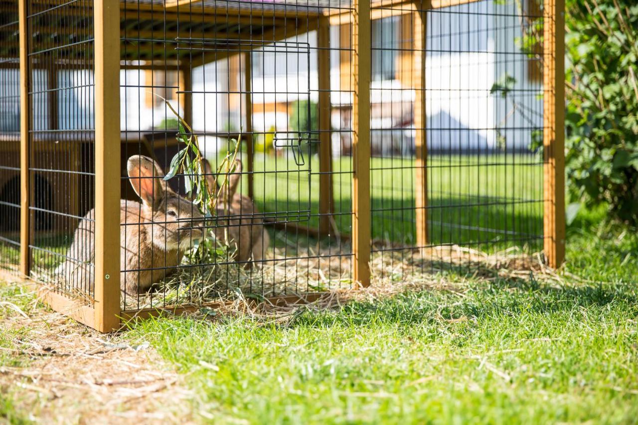 Apartmán Pichlerhof Planca di Sopra Exteriér fotografie