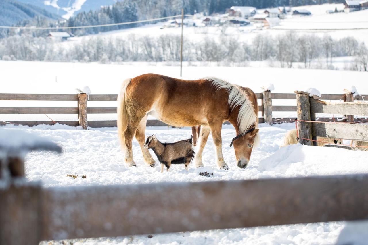 Apartmán Pichlerhof Planca di Sopra Exteriér fotografie